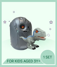 Load image into Gallery viewer, Toy dinosaur set with text suitable for kids aged 3 years and above
