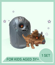 Load image into Gallery viewer, Brownish toy dinosaur beside a dinosaur egg with &#39;Dinosaur Warehouse&#39; branding 
