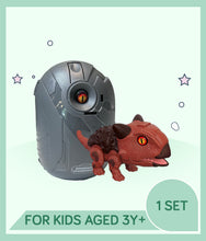 Load image into Gallery viewer, Maroon coloured toy dinosaur and dinosaur egg with text indicating age suitability.
