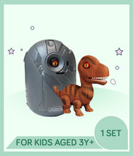 Load image into Gallery viewer, Toy dinosaur and gray dinosaur egg with text indicating age suitability.
