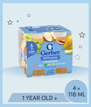 Load image into Gallery viewer, Gerber 100% juice variety pack for toddlers on a light blue background
