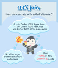 Load image into Gallery viewer, Gerber Fruit Juice product description  on a blue background
