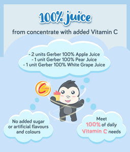 Gerber Fruit Juice product description  on a blue background