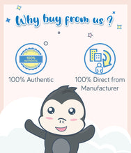 Load image into Gallery viewer, BB King Kong cartoon character with text about authenticity and 100% direct manufacturing on a light colour background

