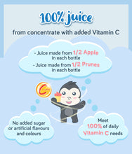 Load image into Gallery viewer, Gerber 100% Apple Prune Juice 473ml Bottle (pack of 4 x 118ml)

