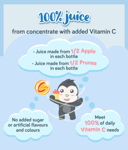 Gerber 100% Apple Prune Juice 473ml Bottle (pack of 4 x 118ml)