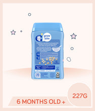Load image into Gallery viewer, Gerber Single Grain Cereal Oatmeal 227g Container
