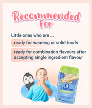 Load image into Gallery viewer, Gerber Organic Single Grain Cereal Oatmeal 227g Container
