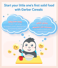 Load image into Gallery viewer, Gerber Single Grain Cereal Oatmeal 227g Container

