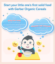 Load image into Gallery viewer, Gerber Organic Single Grain Cereal Rice 227g Container
