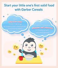Load image into Gallery viewer, Gerber Single Grain Cereal Rice 227g Container
