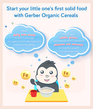 Load image into Gallery viewer, Gerber Organic Cereal Oatmeal Millet Quinoa 227g Container
