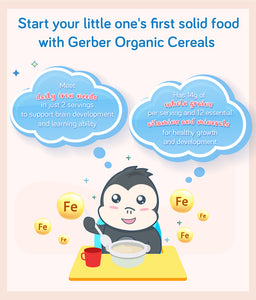 Gerber Organic Cereal Oatmeal Millet Quinoa 227g Container