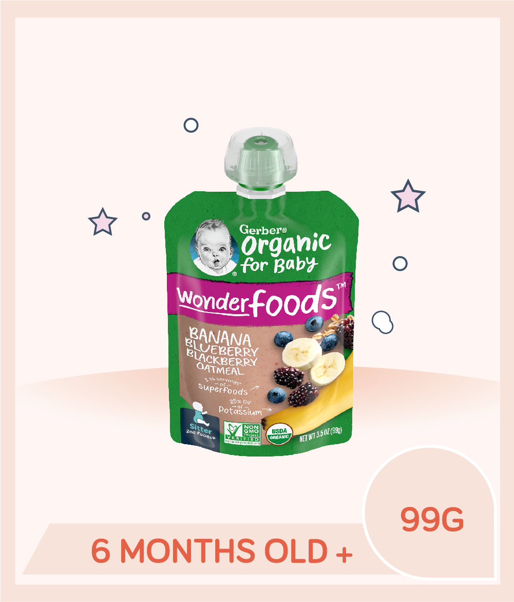 Gerber Organic Banana Blueberry Blackberry Oatmeal 99g Pouch