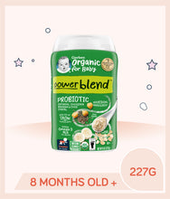 Load image into Gallery viewer, Gerber Organic Powerblend Oatmeal Chickpea Banana Chia
